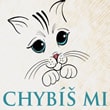 Chybíš mi
