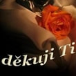 Děkuji