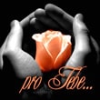 Pro Tebe